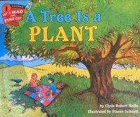 A Tree Is a Plant