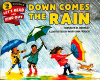 DOWN COMES THE RAIN