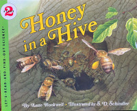 Honey in a Hive