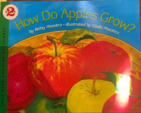 How Do Apples Grow?