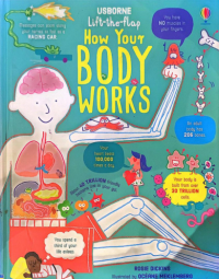 USBORNE Lift-the-flap  How Your BODY Works
