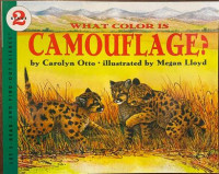 WHAT COLOR IS CAMOUFLAGE?