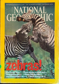 Image of Zebras!
